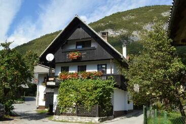 تختخواب و صبحانه Hiša Planšar Bohinj Accommodations