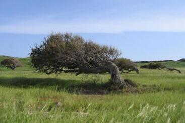 بنسيون B&b Domus Oriens   Monolocale Indipendente In Villa