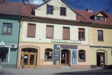 پانسیون Penzion U Báby