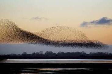 هتل Rudbøl Grænsekro