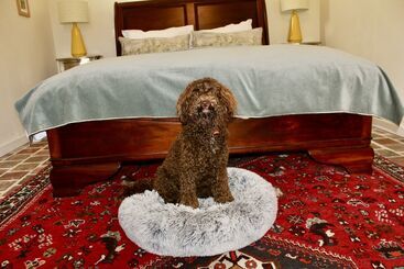 تختخواب و صبحانه 5 Grande Rue