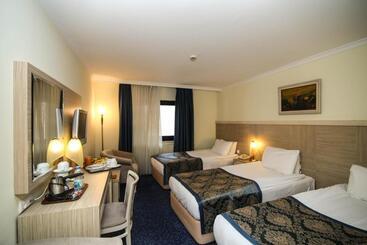 فندق Atakule King