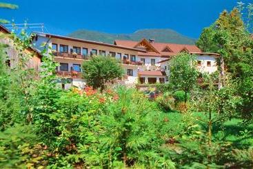 Bed and Breakfast Alpenpension Birkenhof