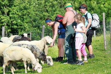 קוטג'' Bauernhof Ablass