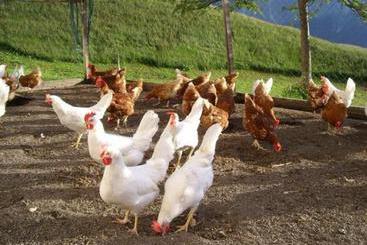 茅舍 Bauernhof Haus Neurauter