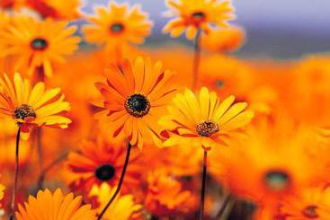 Отель Familie Kaltenbrunner - Gaudihof