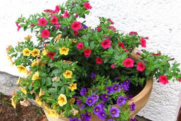 호텔 Ferienhaus Hollinger