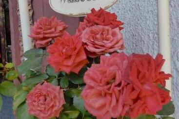 Пансион Gasthof   Hotel Klammstein