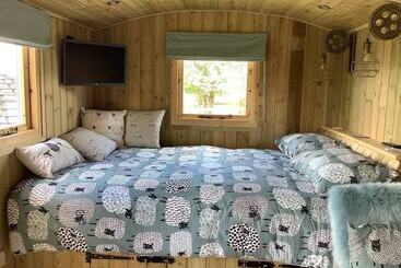 茅舍 The Shepherds Hut At Hafoty Boeth