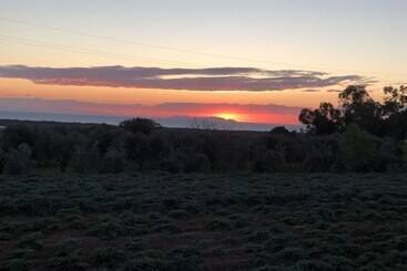 酒店 On Holiday Between Sky And Sea Geco Di Campiglia Pet Friendly Big Garden