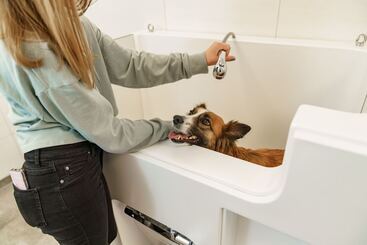 Almfrieden Hotel & Romantikchalet