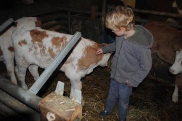 별장 Bauernhof Siedler