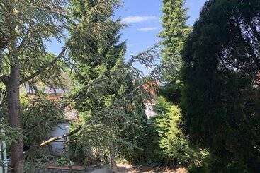 Отель Dietrichsteinerhof Apartments & Rooms