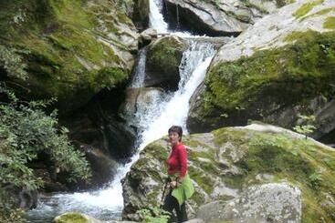 בית מלון כפרי Pension Regina