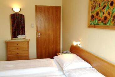 צימר Parkpension Billroth