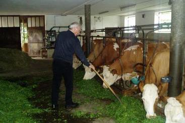 مبيت وإفطار Pension Puehringer