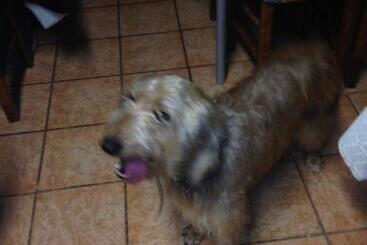 هتل San Desiderio