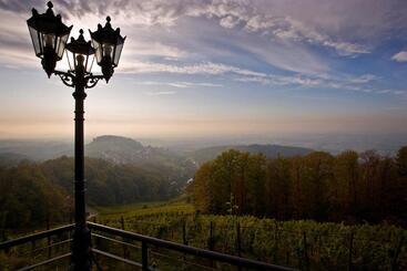 בית מלון כפרי Burg Windeck S