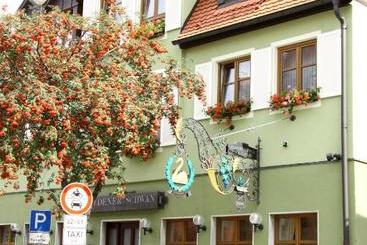 Goldener Schwan Hotel Garni