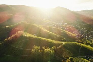 Hotel Restaurant Der Engel, Sasbachwalden