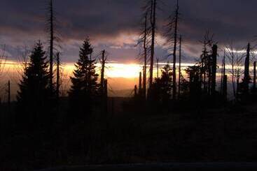 膳宿费 Gasthaus Zum Kellermann