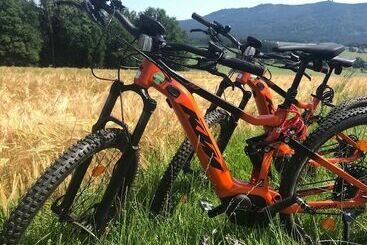 膳宿费 Muller´s Land