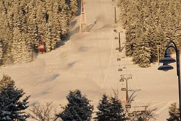 Отель Miriquidi