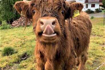 Hotel Restaurant Vinothek Lamm