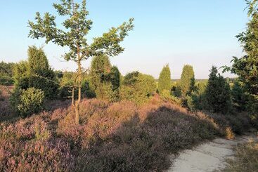 ホテル Sonnenhügel