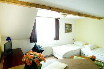 酒店 Pension Am Alten Markt