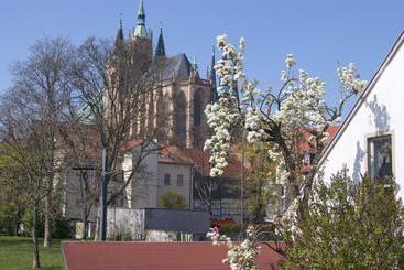 تختخواب و صبحانه Pension Am Dom