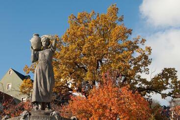 ホテル Drei Schwanen  Ristorante Due Fratelli