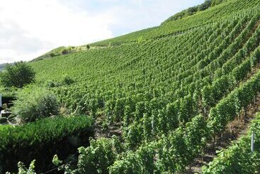 Отель Zur Traube