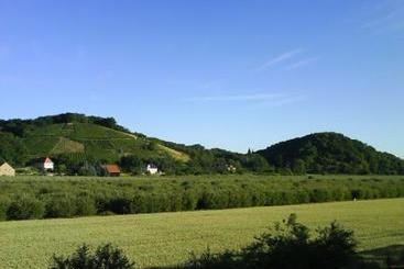 Bed and Breakfast Försters Stammlokal Pension