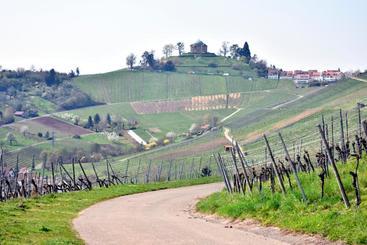 پانسیون Münzmay