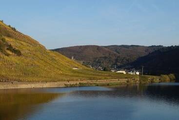 Winzerhotel   Restaurant Zum Moselstrand