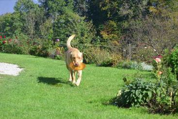 קוטג'' Bauernhof Kainzleiten