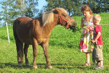 بيت ريفى Bauernhof Loeschgruber