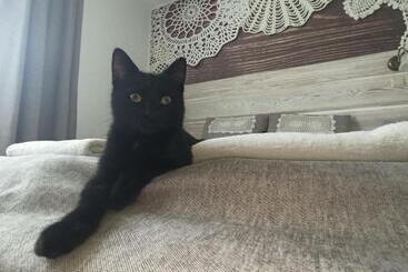 호텔 Dwór Wapowce