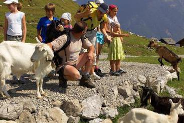 مبيت وإفطار Waldpension Putz