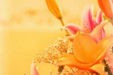 בית מלון כפרי Tschurtschenthaler