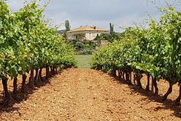 호텔 Mas Castell De Gimenelles