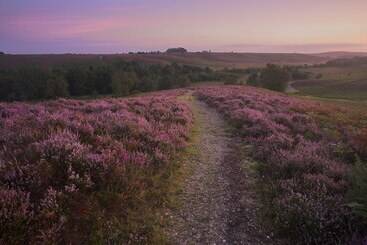 بيت ريفى Somerville Coach House 1