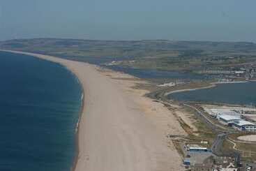 コテージ Jurassic Hideaway