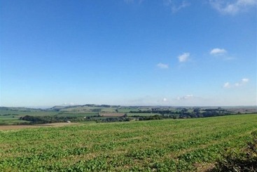 コテージ Pippins