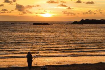 קוטג'' Tyn Towyn   Ty Oren