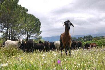 ベッドアンドブレックファースト Alojamento Santa Clara