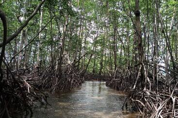 فندق Osa Tucan Drake