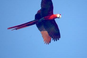 فندق Fidelito Ranch & Lodge