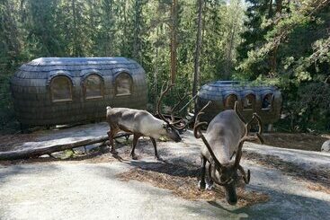 酒店 Igluhut Sleeping With Reindeer
